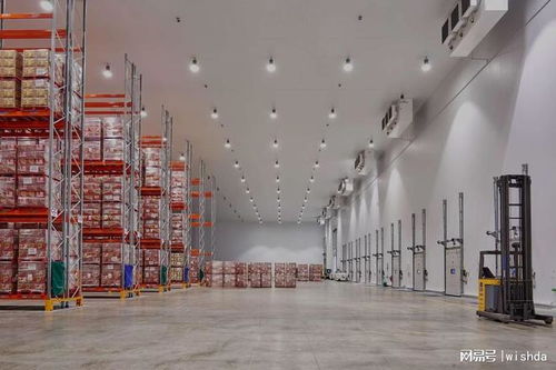 國內知名農產品冷庫廠商推薦及技術服務解析